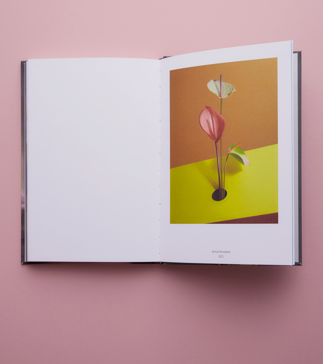 BueroWestphal-Case-flowers_04