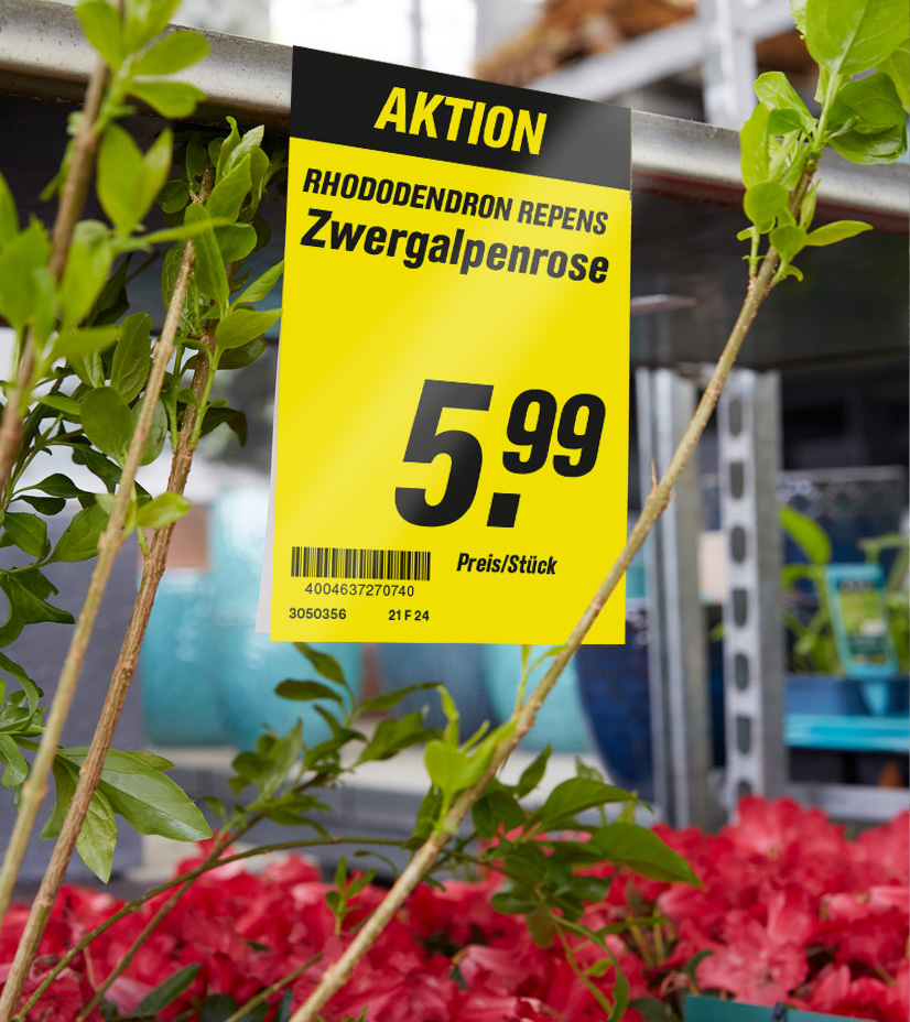 BueroWestphal-Case-toom_Markt_15